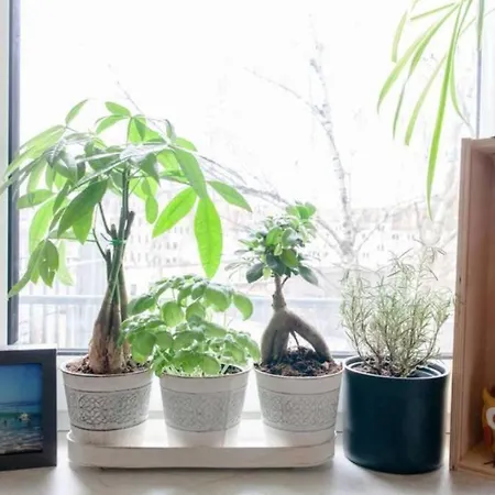 Appartement Feel Yourself At *